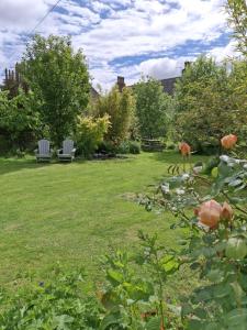 a garden with two chairs in the grass at Aberlour Cottages - Bolthole & Retreat in Aberlour