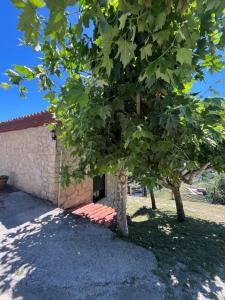 a building with a tree in front of it at Mirar&Soñar in Chantada