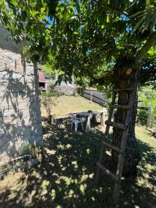 a ladder leaning against a tree next to a picnic table at Mirar&Soñar in Chantada
