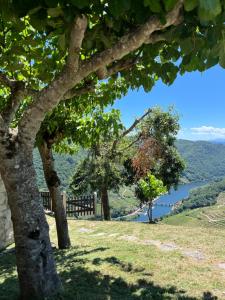 a view of a river from a hill with trees at Mirar&Soñar in Chantada +24 photos