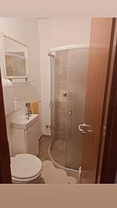 a small bathroom with a toilet and a shower at Hostel Obrovac in Obrovac +9 photos