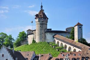 an old castle with a bunch of vines at O&D Guest Room in Flurlingen