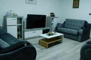 a living room with two couches and a tv at Apartman Crvenka bazen in Crvenka