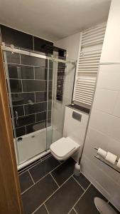 a bathroom with a toilet and a glass shower at Wohnung in Datteln in Datteln