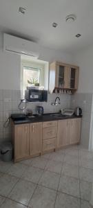 a kitchen with a sink and a counter top at Agroturystyka Magnolia in Cieszyno