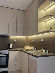 eine Küche mit weißen Schränken und einer Spüle in der Unterkunft LiboroView in Niš