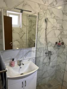 ein Badezimmer mit Waschbecken und Dusche in der Unterkunft LiboroView in Niš + 174 Fotos