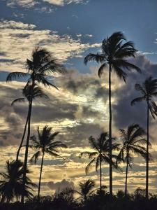 a group of palm trees against a cloudy sky at Acalanto do Sargi in Uruçuca +3 photos