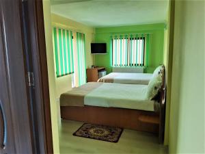 a green bedroom with two beds and a television at Pensiunea Esential in Ocnele Mari