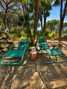 two green lawn chairs sitting next to a tree at VR-Room in Forte Village