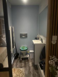 a small bathroom with a toilet and a sink at Studio meublé in Orsay