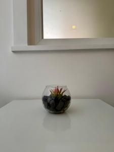a small glass bowl with a plant in it on a shelf at Marechiaro apartment in Monopoli