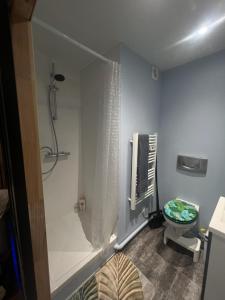a bathroom with a shower and a toilet at Studio meublé in Orsay