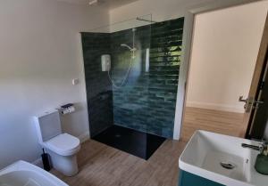 a bathroom with a shower and a toilet and a sink at Sliabh Liag View in Kilcar