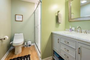 a bathroom with a toilet and a sink and a shower at Shenandoah Thunder Chalet Guest Suite in Front Royal +74 photos