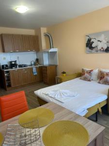 a room with a bed and a table and a kitchen at Villa Maria 2 in Chernomorets