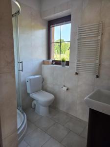 a bathroom with a toilet and a sink and a window at Agroturystyka u Kasi in Suryty