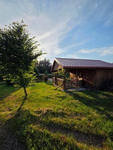 a barn with a tree in front of it at Agroturystyka u Kasi in Suryty