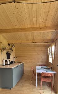 a kitchen with a table and chairs in a room at Kempings Roja in Roja