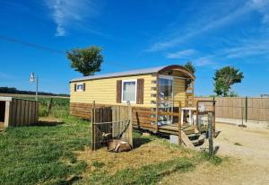 a tiny house with a cow laying in the grass at Roulotte tout confort au milieu des animaux in Burthecourt-aux-Chênes