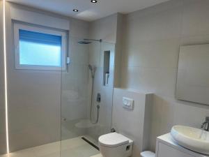 a bathroom with a shower and a toilet and a sink at Villa Vildana in Sarajevo +18 photos