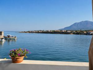 a pot of flowers sitting on a ledge next to the water at Almyra Seaside Apartments in Elia Laconias