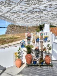 a group of potted plants sitting on a roof at Casa da Muralha in Estremoz +40 photos