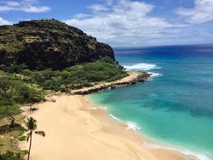 a beach with palm trees and the ocean at Oceanfront Corner Unit , Hawaiian Princess in Waianae
