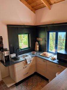 a kitchen with a sink and a counter top at Le Chalet Lasseube in Lasseube