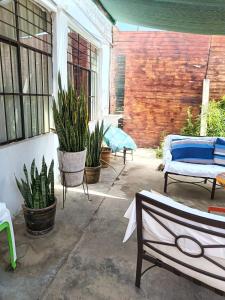 a patio with potted plants and a couch at Nasca Trails B&B in Nazca