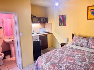 a small bedroom with a bed and a sink at Ellen Bay Cottages in Saint Philips +87 photos