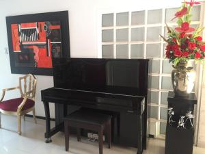 un pianoforte nero con televisore e vaso di fiori di Hotel Platinum Boutique a Montería