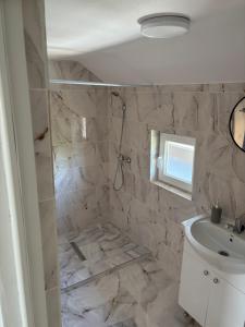 a bathroom with a shower and a toilet and a sink at Casa Alex in Cârțișoara +112 photos
