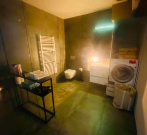 a small bathroom with a toilet and a washing machine at Friggjarbrunnur shared home in Reykjavík
