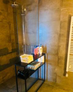 a bathroom with a shower and a shelf with products at Friggjarbrunnur shared home in Reykjavík