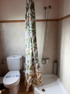 a bathroom with a toilet and a shower curtain at Finca Nim 1 in Mogán