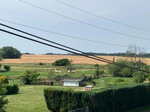 a field with a farm with sheep in the distance at Ferienwohnung am Woezer See in Woez