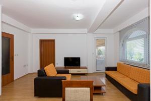 a living room with a couch and a tv at Nikola Apartments in Ohrid