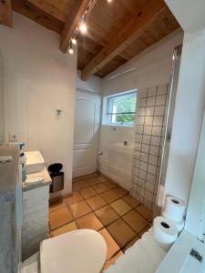 a bathroom with a shower and a toilet and a sink at foresthaus in Glücksburg +19 photos