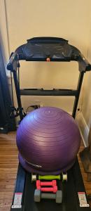 a purple object sitting on top of a suitcase at Plantlife LLC Lodge U room in Minneapolis +1 photo