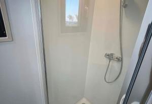 a shower in a bathroom with a glass door at Roulotte tout confort au milieu des animaux in Burthecourt-aux-Chênes +23 photos