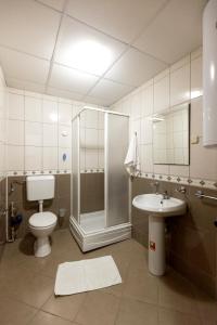 a bathroom with a shower and a toilet and a sink at Nikola Apartments in Ohrid +45 photos