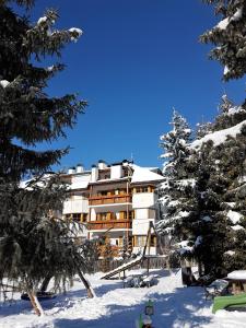 un gran edificio en la nieve con árboles en Albert - Bon Di en Santa Cristina in Val Gardena
