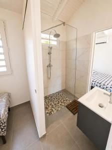 a bathroom with a shower and a sink at Les Cocons des Alizés in Sainte-Anne +7 photos