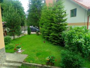 a yard with a tree and a house at CASA de VIS in Sinaia
