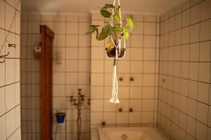 a bathroom with a potted plant hanging from the ceiling at Casa Örüm in Florianópolis +86 photos