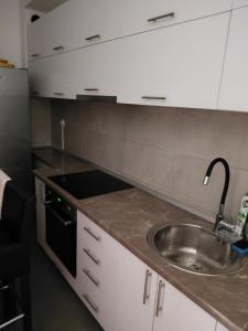 a kitchen with a sink and a counter top at Apartman Rosić in Trebinje +35 photos