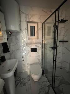 a bathroom with a toilet and a sink and a shower at Domki za Wyspą in Chmielów
