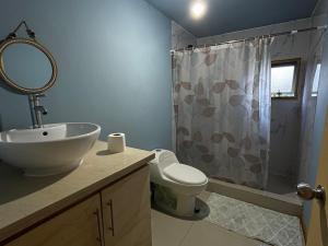 a bathroom with a sink and a toilet and a shower at Cabaña en Buchupureo in Tiuquilemu