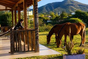 a woman sitting on a porch looking at a horse grazing at Looking Samaipata Habitación Doble in Samaipata